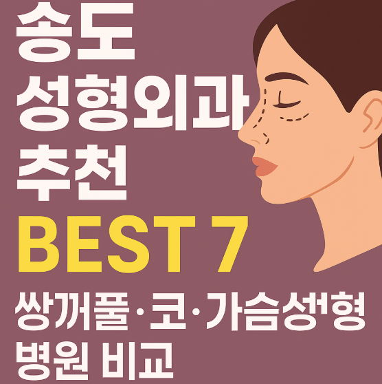 송도성형외과 추천 BEST 7 - 쌍꺼풀·코·가슴성형 병원 비교
