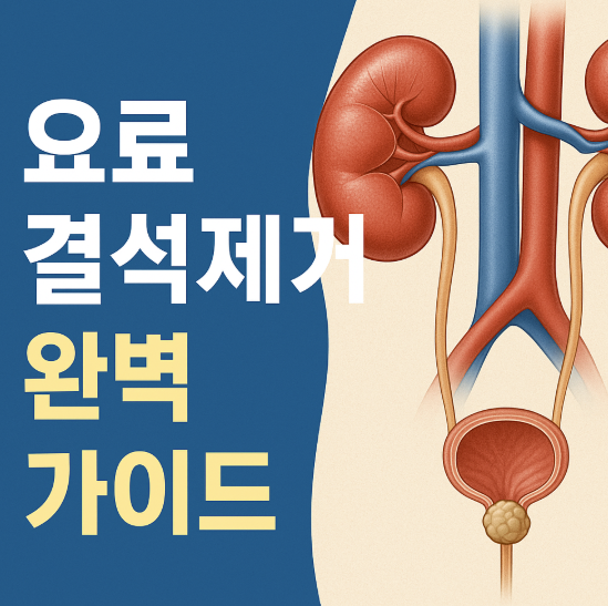 요로결석제거 완벽 가이드: 수술 방법부터 재발 예방까지