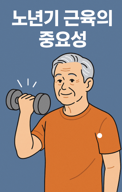 노년기-근육-유지와-단백질-섭취의-중요성