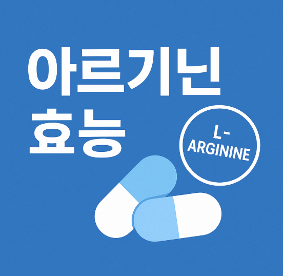 아르기닌효능-고급-가이드