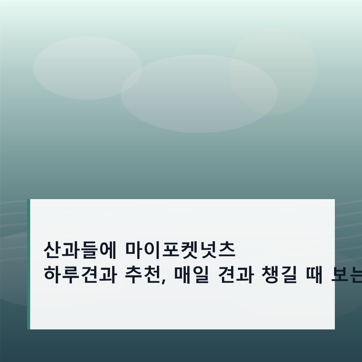 마이포켓넛츠 하루견과 추천, 산과들에 매일 견과 챙길 때 보는 기준