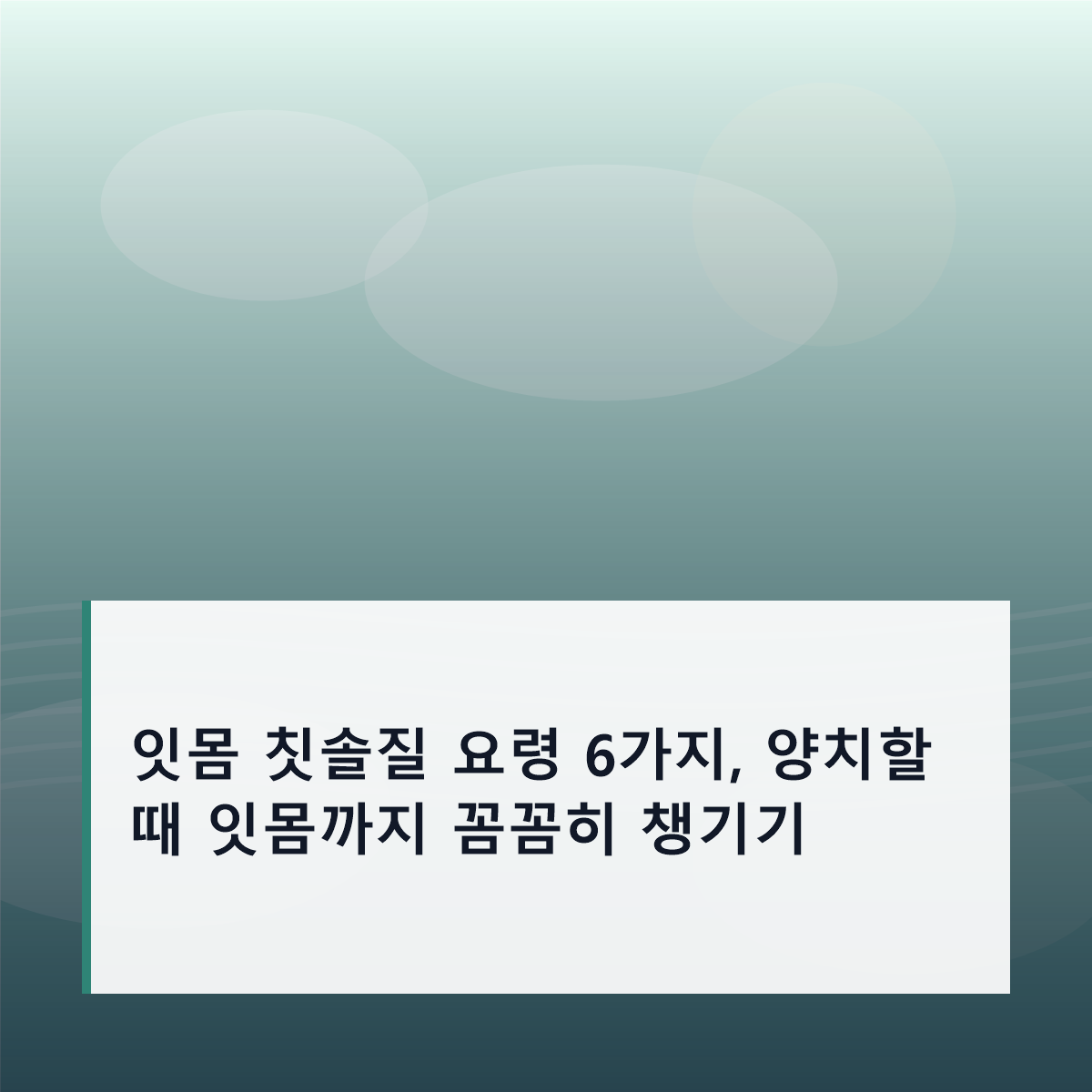 잇몸 칫솔질 요령 6가지, 양치할 때 잇몸까지 꼼꼼히 챙기기