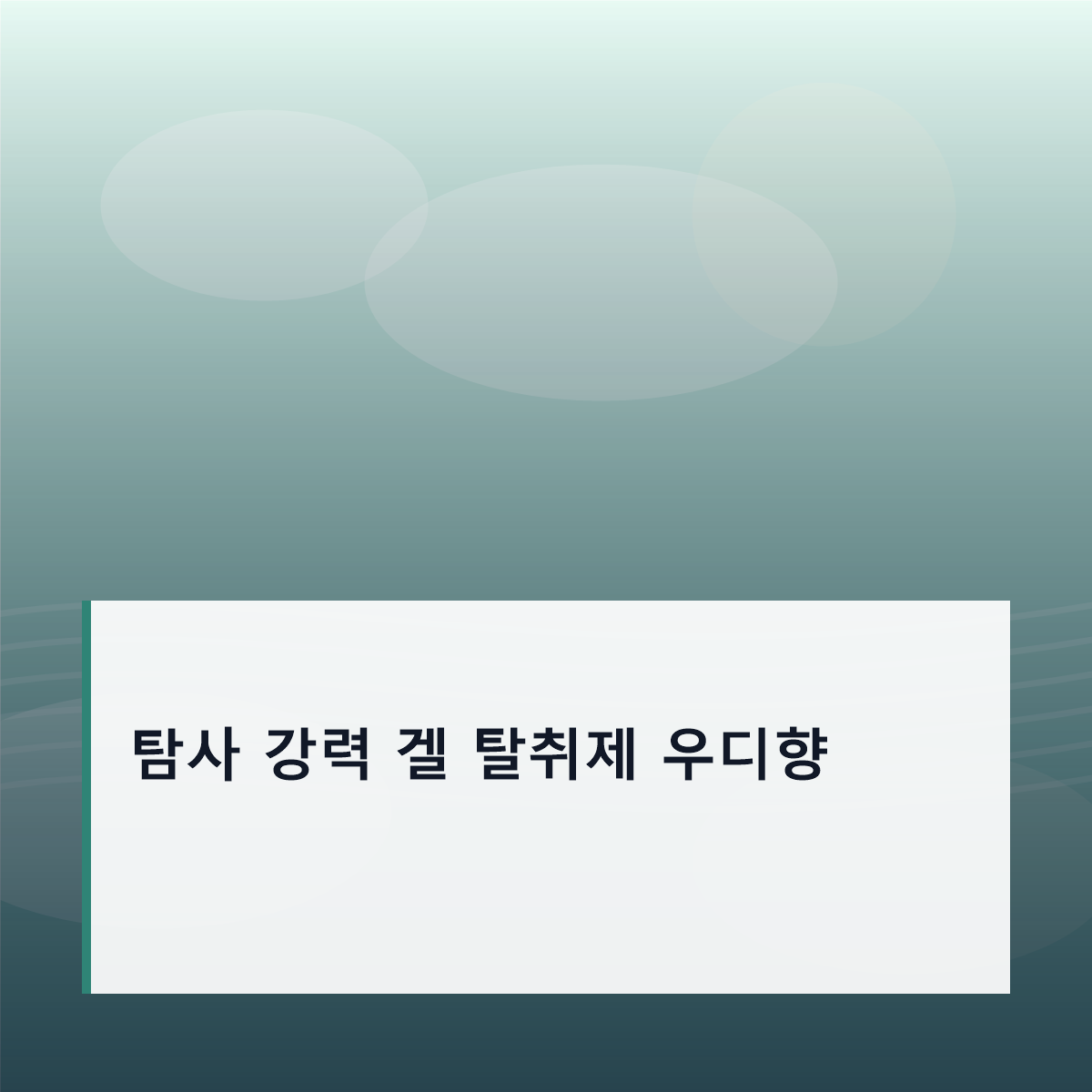 탐사 강력 겔 탈취제 포레스트 우디향 230g 추천, 집 냄새 관리 기준