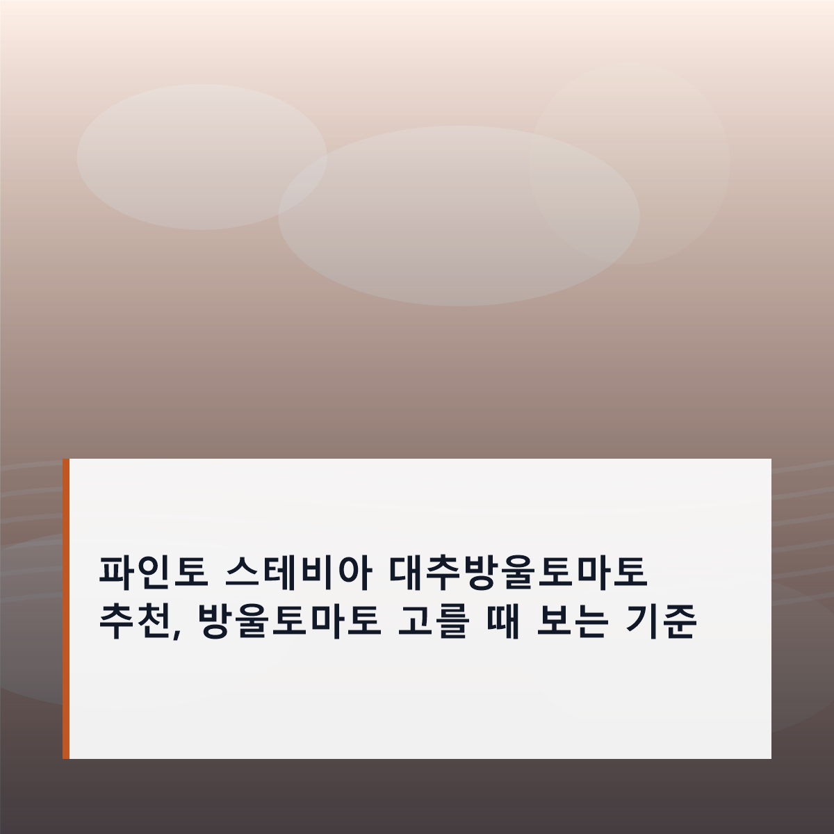 파인토 스테비아 대추방울토마토 추천, 방울토마토 고를 때 보는 기준