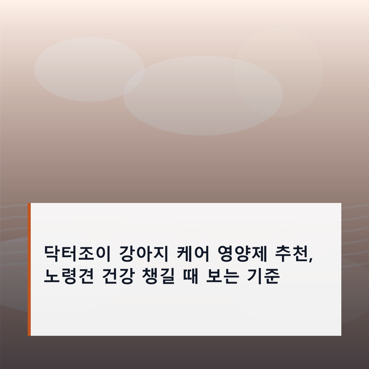 닥터조이 강아지 케어 영양제 추천, 노령견 건강 챙길 때 보는 기준