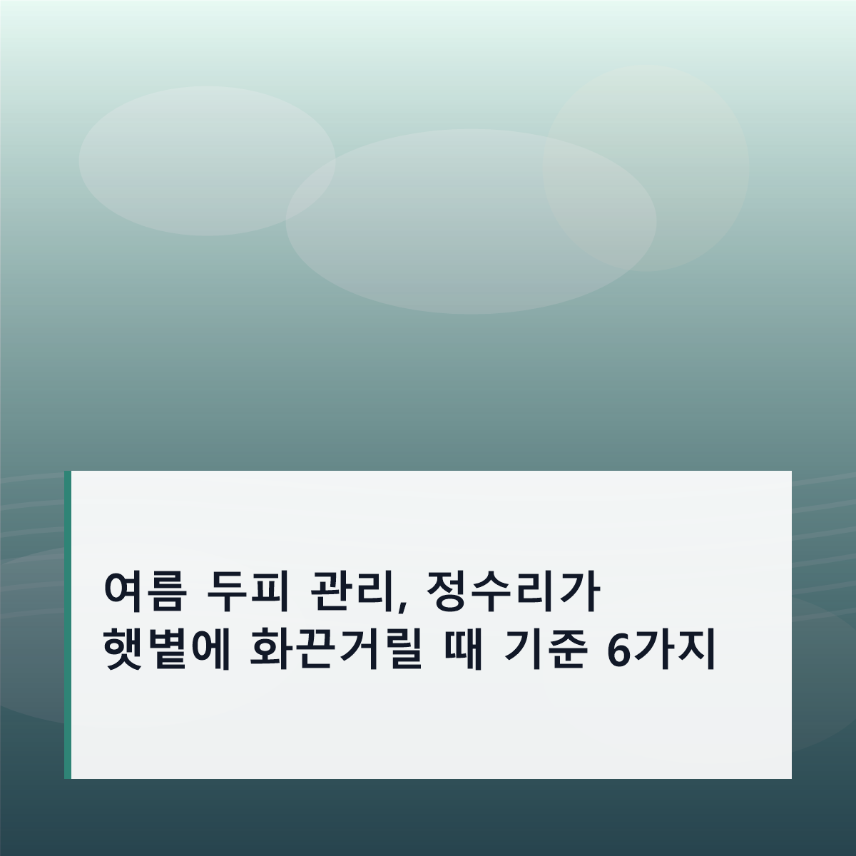 여름 두피 관리, 정수리가 햇볕에 화끈거릴 때 기준 6가지