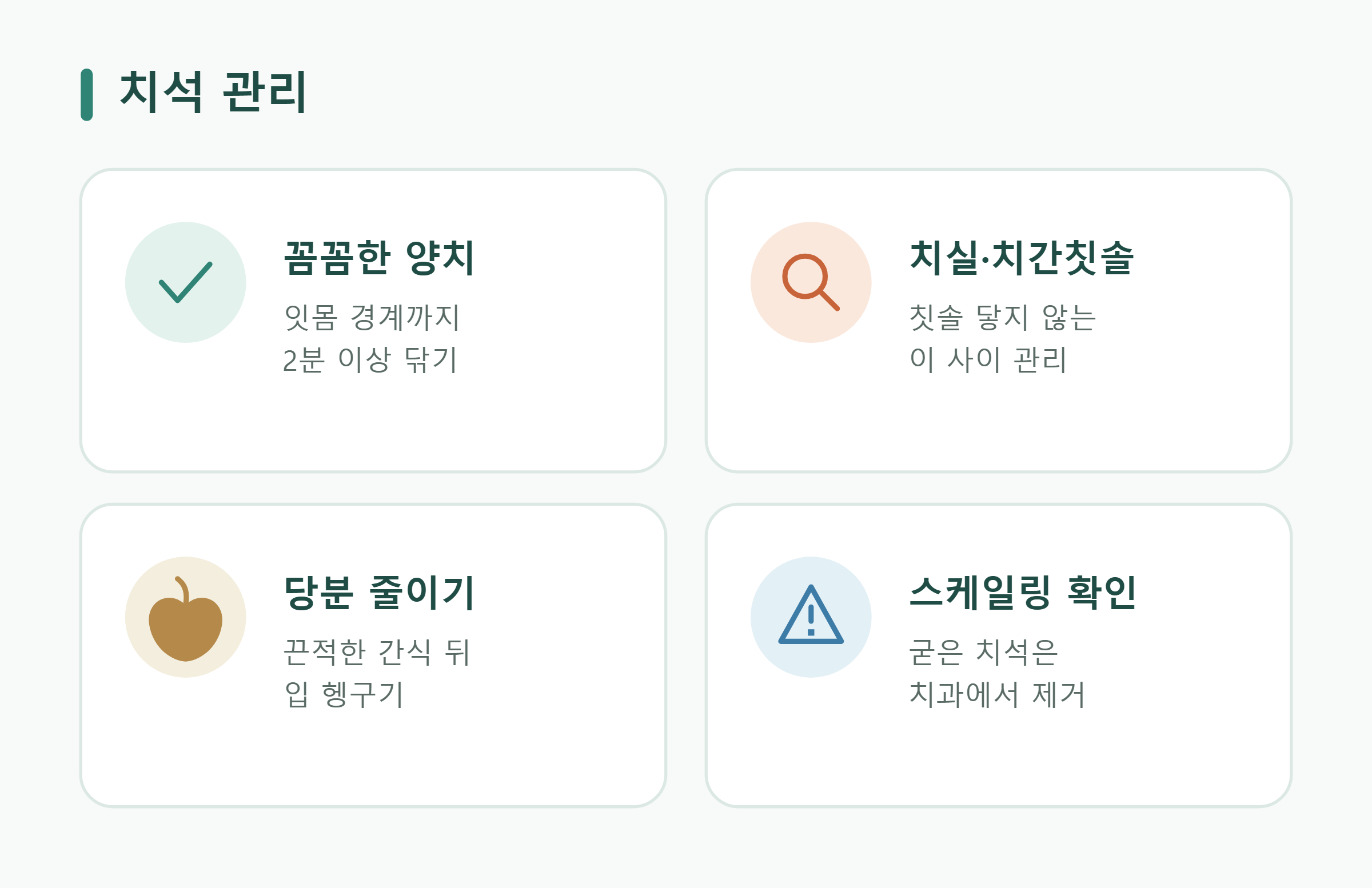 치석 관리