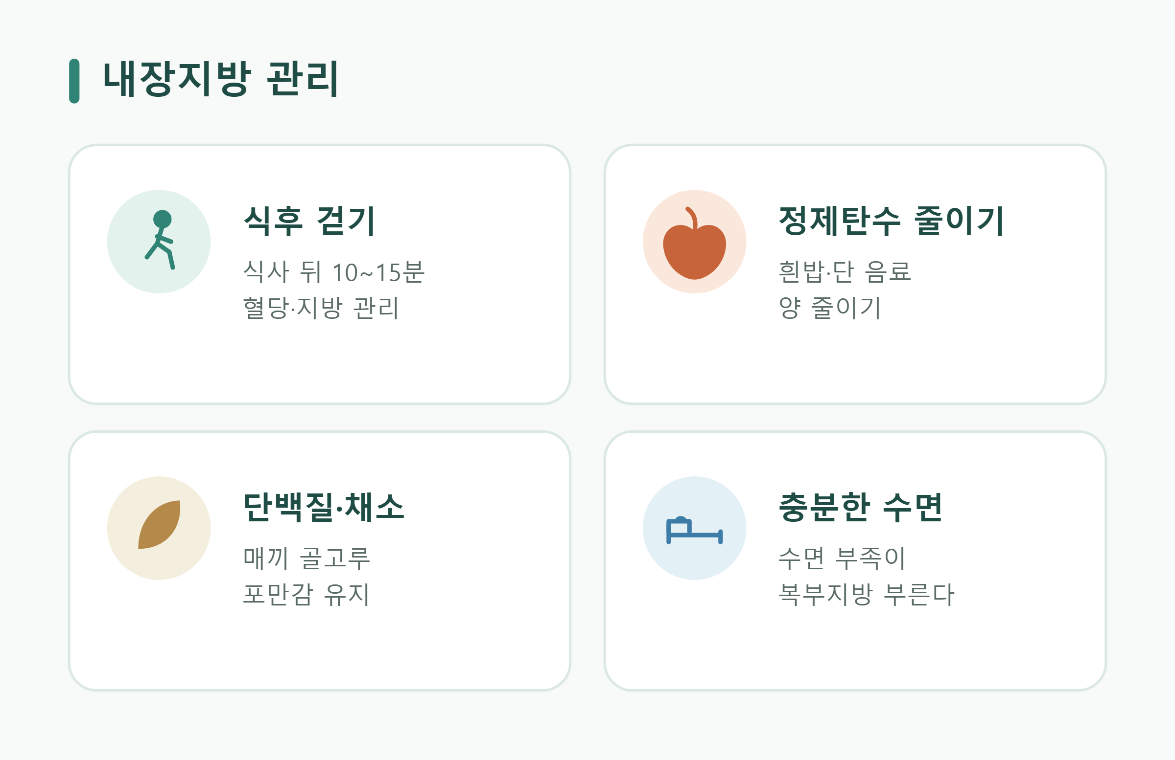 내장지방 관리 내장지방 관리