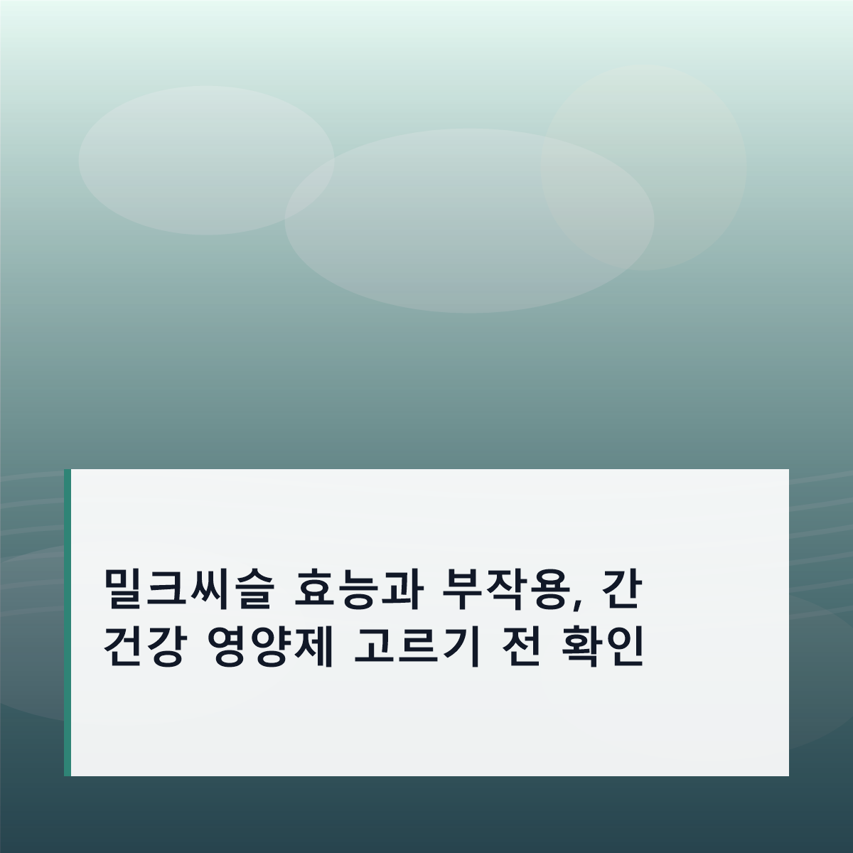 밀크씨슬 효능과 부작용, 간 건강 영양제 고르기 전 확인 밀크씨슬 효능과 부작용, 간 건강 영양제 고르기 전 확인