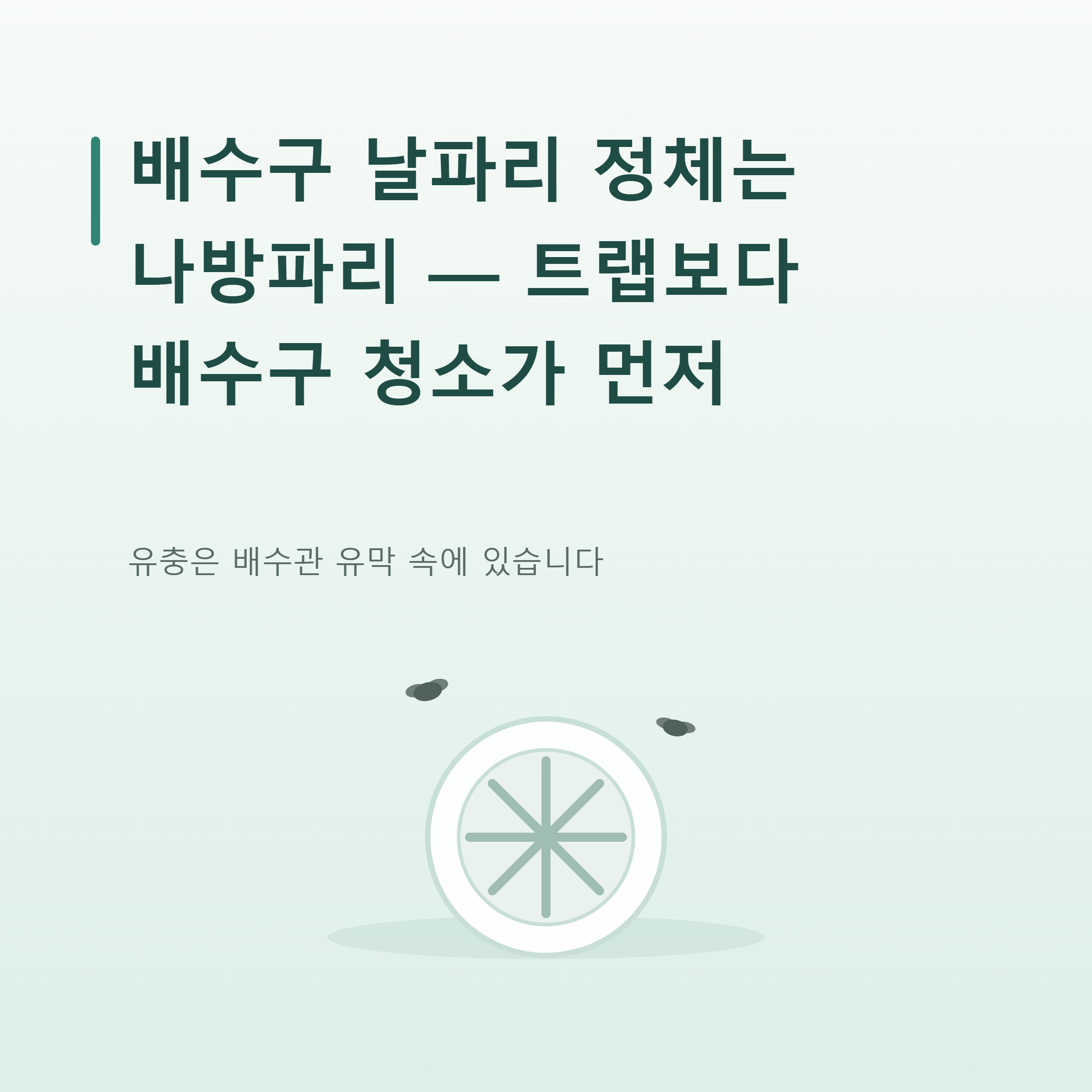 배수구 날파리 정체는 나방파리 — 트랩보다 배수구 청소가 먼저인 이유