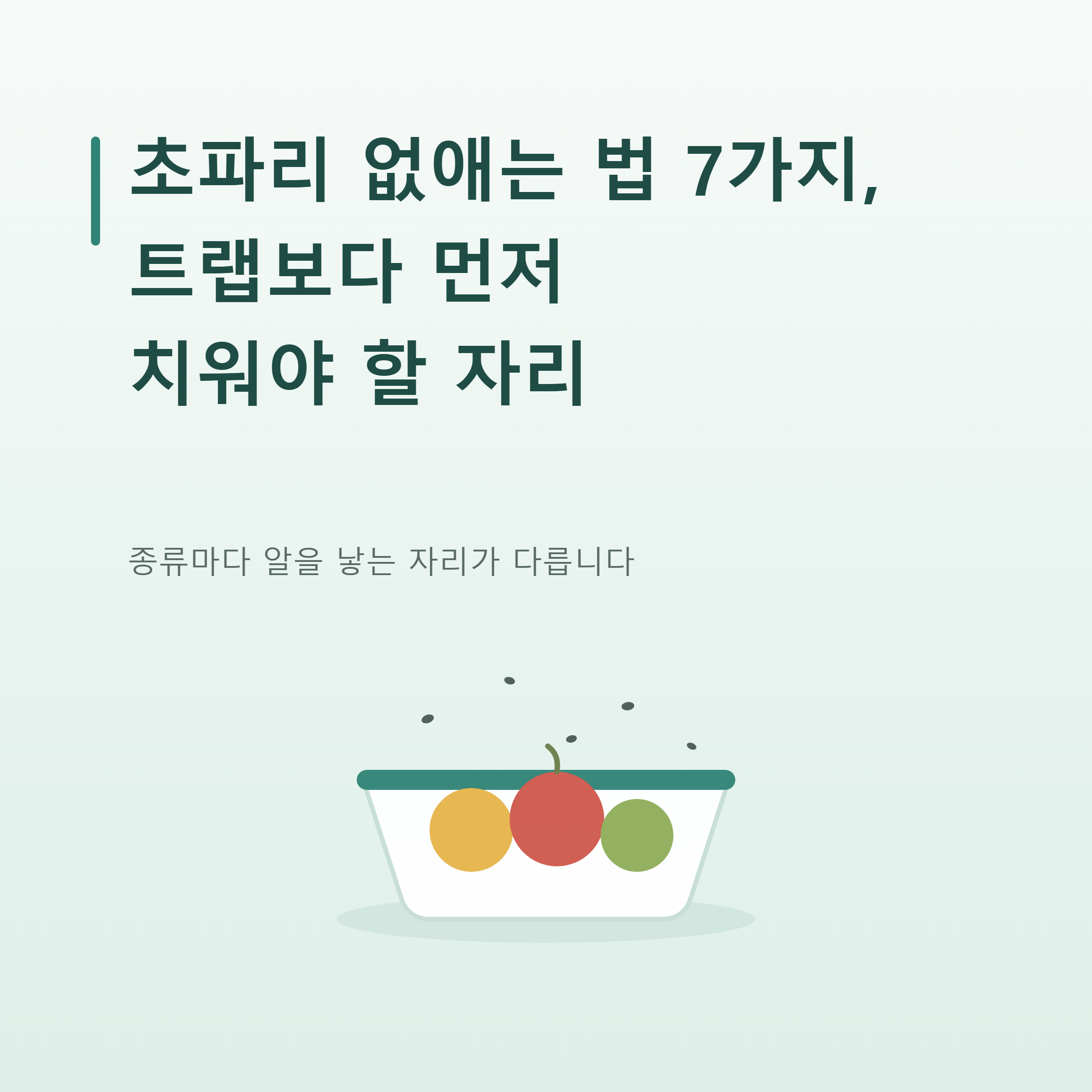 초파리 없애는 법 7가지, 트랩보다 먼저 치워야 할 자리