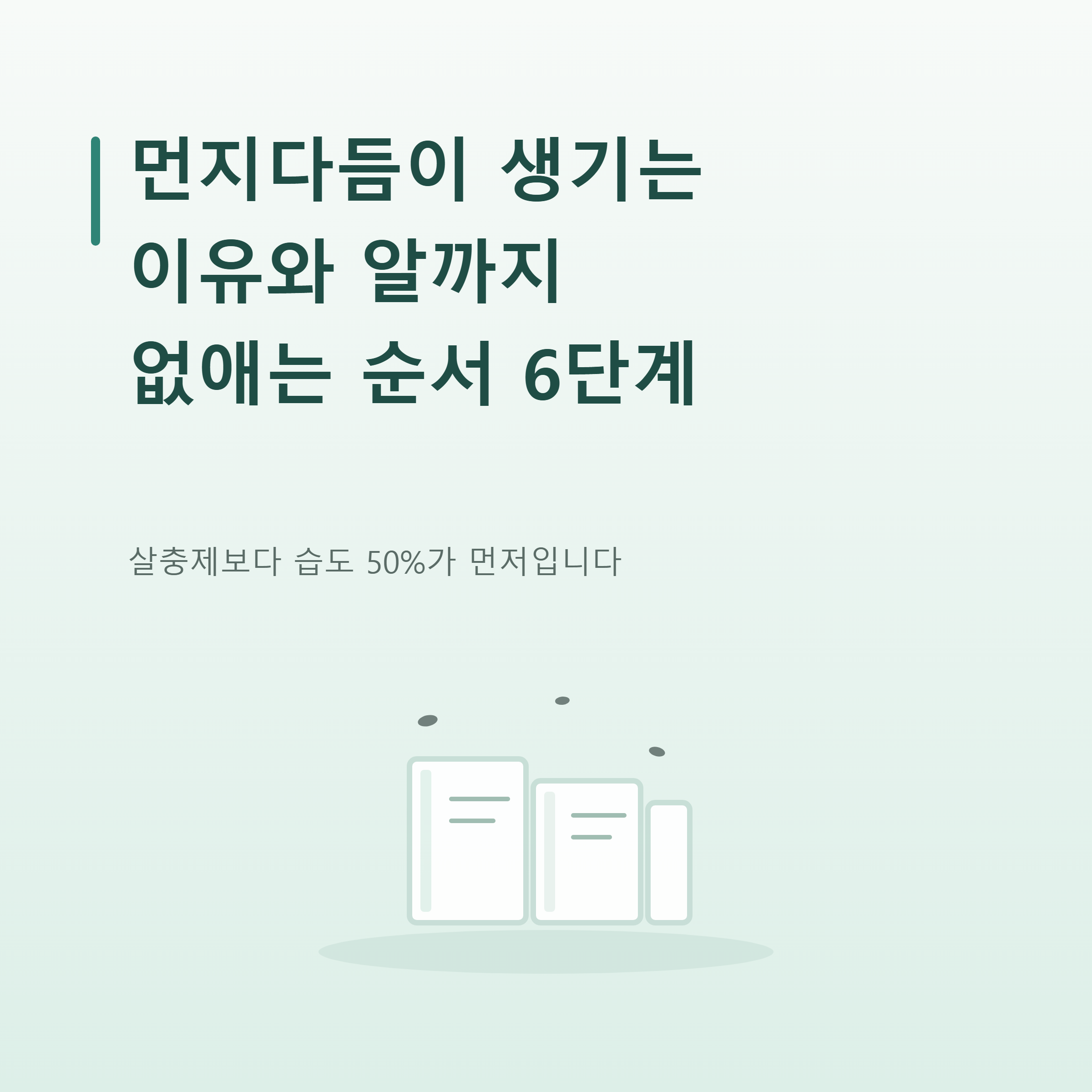 먼지다듬이 생기는 이유와 알까지 없애는 순서 6단계