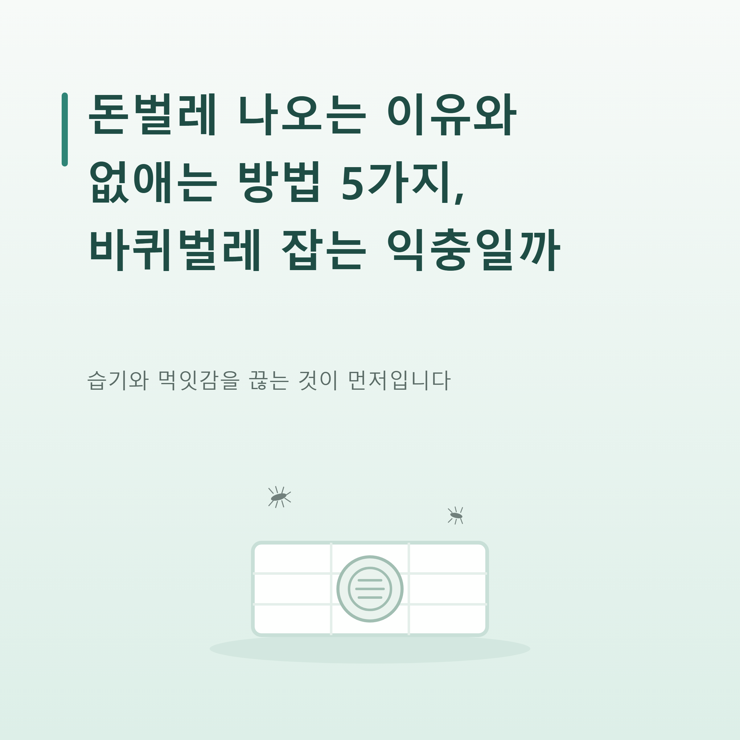 돈벌레 나오는 이유와 없애는 방법 5가지, 바퀴벌레 잡는 익충일까
