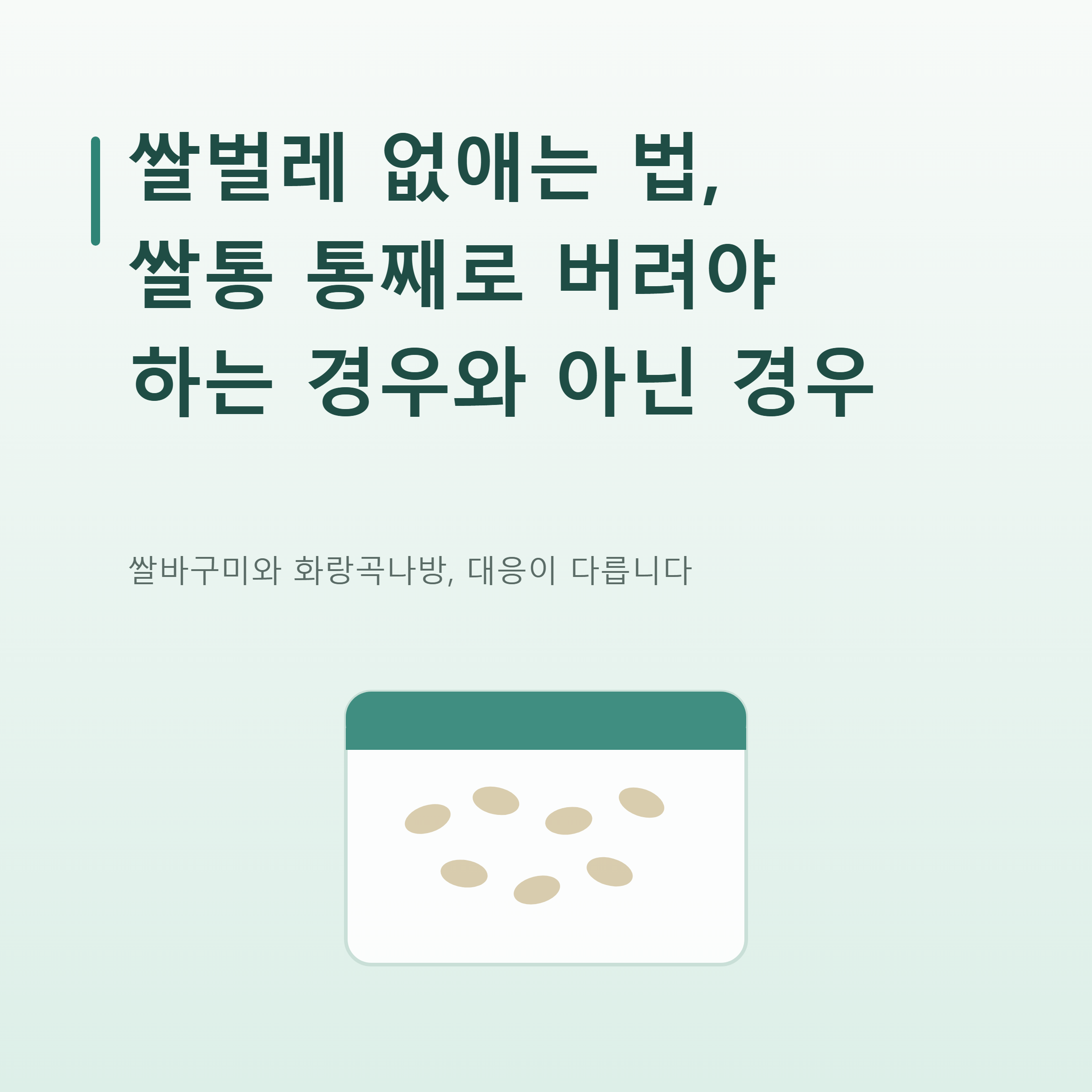 쌀벌레 없애는 법, 쌀통 통째로 버려야 하는 경우와 아닌 경우