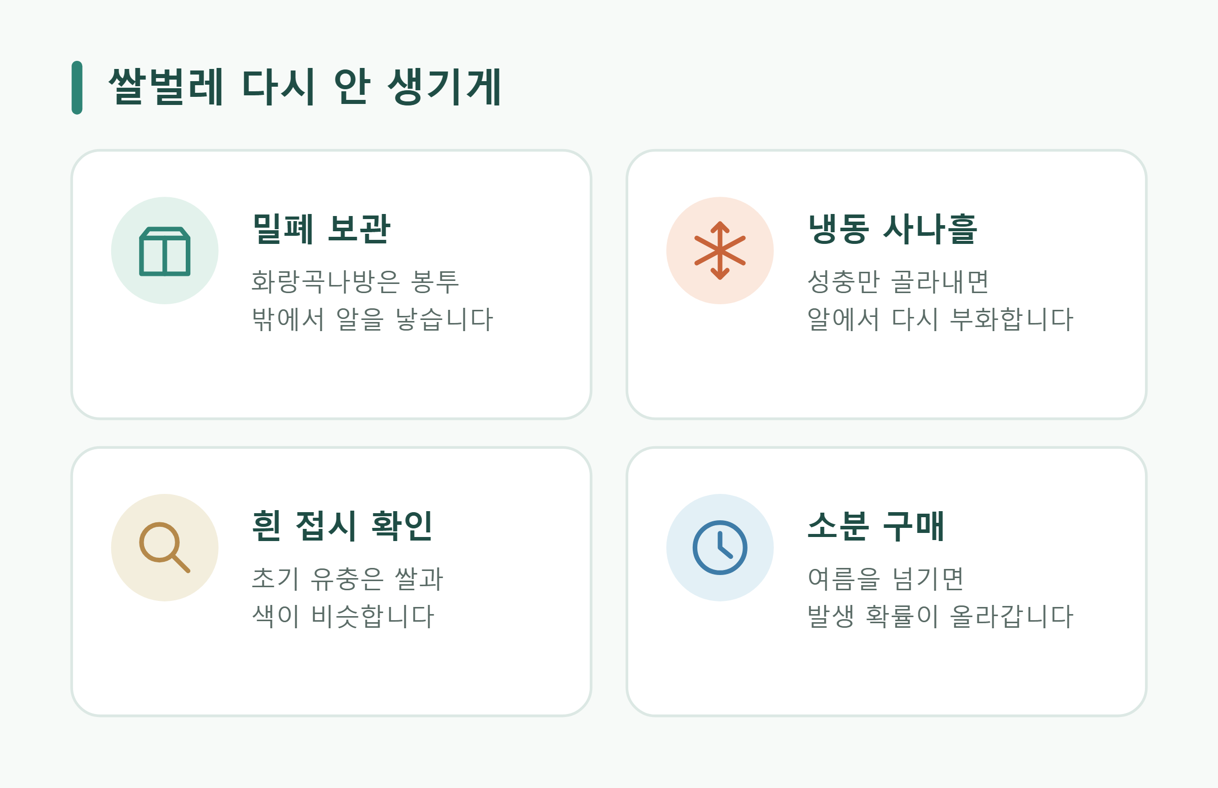쌀벌레 다시 안 생기게 쌀벌레 다시 안 생기게