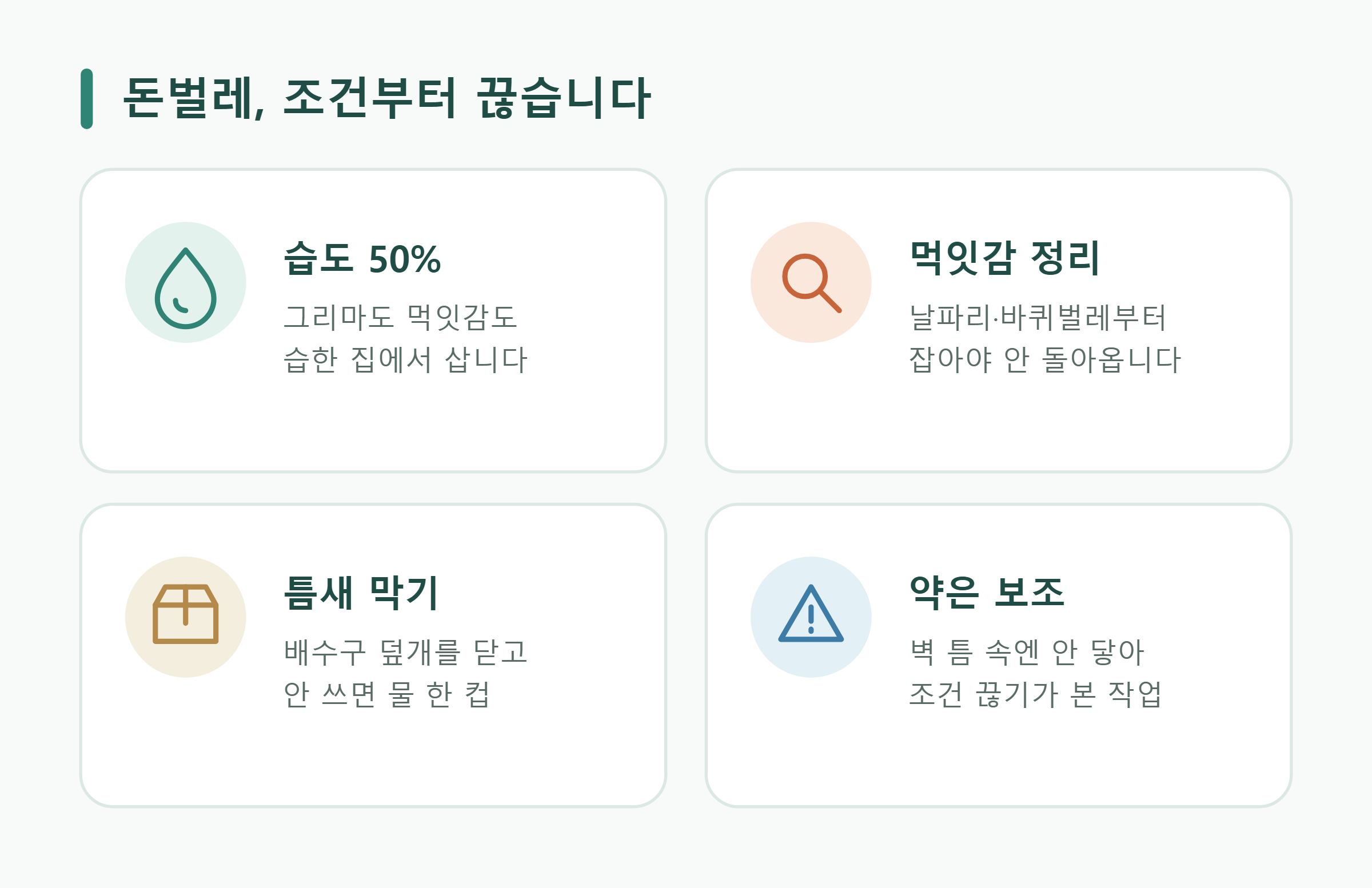 돈벌레 없애는 방법 핵심 4가지 요약